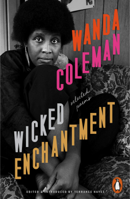 book cover for Wicked Enchantment