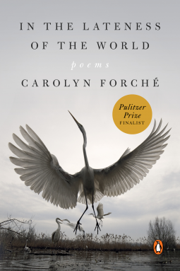 book cover for In the Lateness of the World