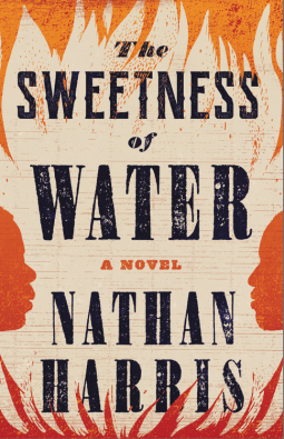 book cover for The Sweetness of Water