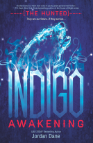 book cover for Indigo Awakening