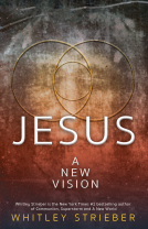 book cover for Jesus: A New Vision