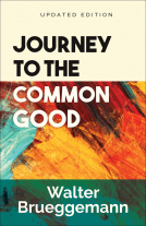 book cover for Journey to the Common Good
