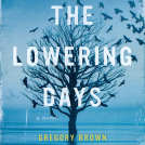 book cover for The Lowering Days