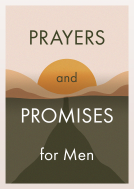 book cover for Prayers and Promises for Men