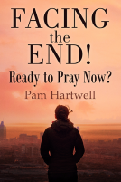 book cover for Facing the End