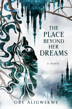 book cover for The Place Beyond Her Dreams