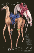 book cover for Hollow