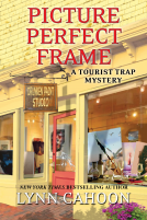 book cover for Picture Perfect Frame