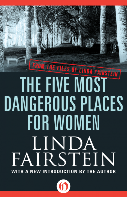 book cover for The Five Most Dangerous Places for Women