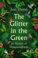 book cover for The Glitter in the Green