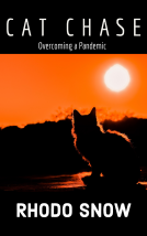 book cover for CAT CHASE