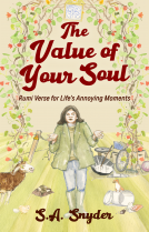 book cover for The Value of Your Soul