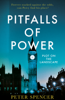 book cover for Pitfalls of Power