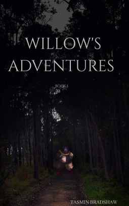 book cover for Willow's Adventures