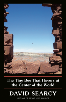 book cover for The Tiny Bee That Hovers at the Center of the World