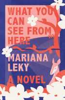 book cover for What You Can See from Here