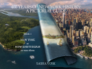 book cover for 400 YEARS OF NEW YORK HISTORY