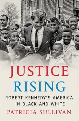 book cover for Justice Rising