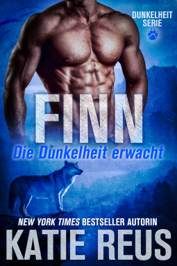 book cover for Finn: Die Dunkelheit erwacht