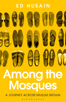 book cover for Among the Mosques