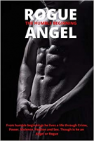 book cover for ROGUE - ANGEL