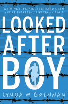 book cover for Looked After Boy