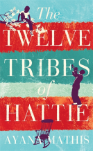 book cover for The Twelve Tribes of Hattie