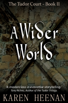 book cover for A Wider World