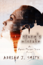 Cover Image: Stone's Mistake