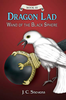 book cover for Dragon Lad: Wand of the Black Sphere