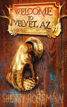 book cover for Welcome to Velvet, Az