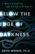 book cover for Below the Edge of Darkness