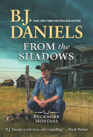 book cover for From the Shadows