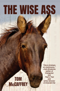 book cover for The Wise Ass