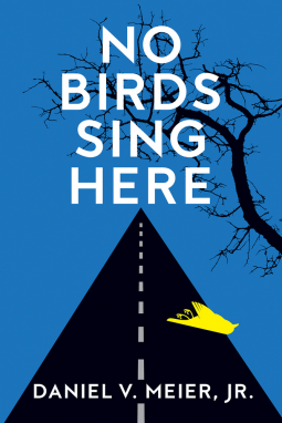 book cover for No Birds Sing Here