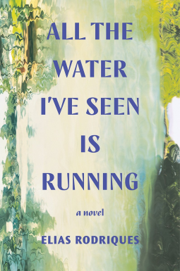 book cover for All the Water I've Seen is Running