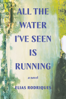 book cover for All the Water I've Seen is Running