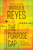 book cover for The Purpose Gap