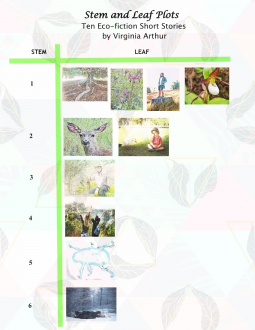 book cover for Stem and Leaf Plots