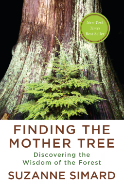 book cover for Finding the Mother Tree