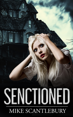 book cover for SENCTIONED