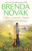 book cover for When Summer Comes