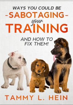 book cover for Ways You Could Be Sabotaging Your Training