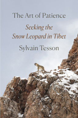 book cover for The Art of Patience
