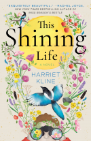 book cover for This Shining Life