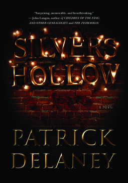 book cover for Silvers Hollow