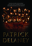 book cover for Silvers Hollow