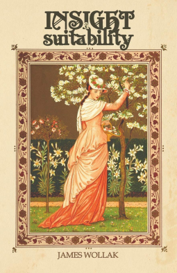 book cover for Insight and Suitability