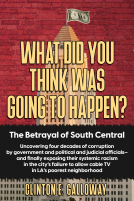 book cover for What Did You Think Was Going to Happen?