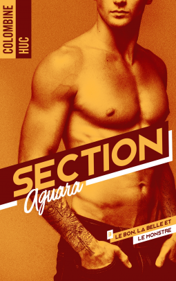 Couverture du livre pour Section Aguara & Co - Tome 3